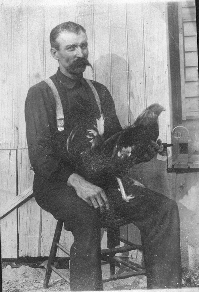 Stephen Madden- rooster probably belongs to his son 